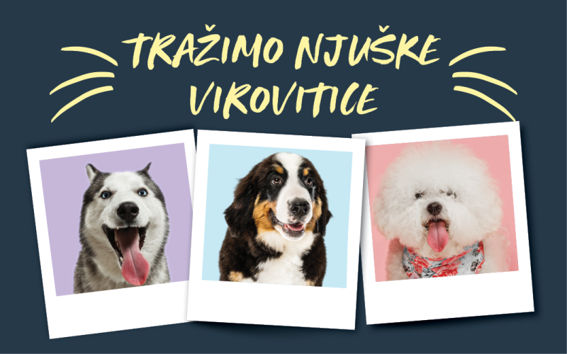 Tražimo ZOOCITY njuške VIROVITICE