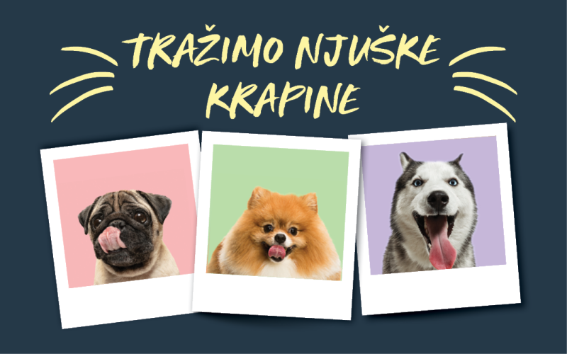 Tražimo ZOOCITY njuške KRAPINE